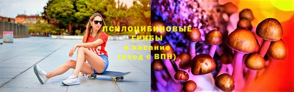 крисы Алексин