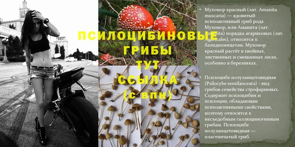 тгк Корсаков
